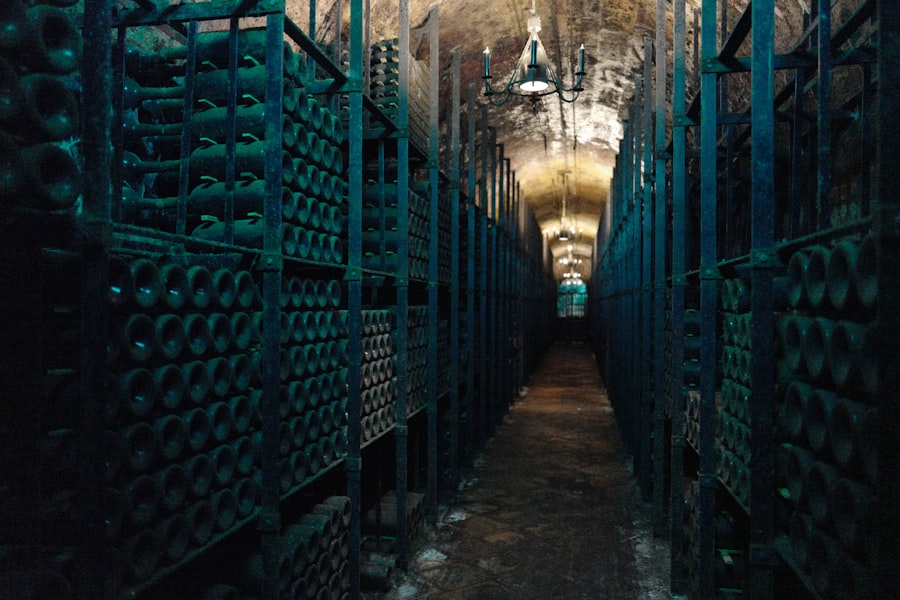 Domy z piwniczką winną: luksusowe miejsce na ziemi 2 abcdhe 1