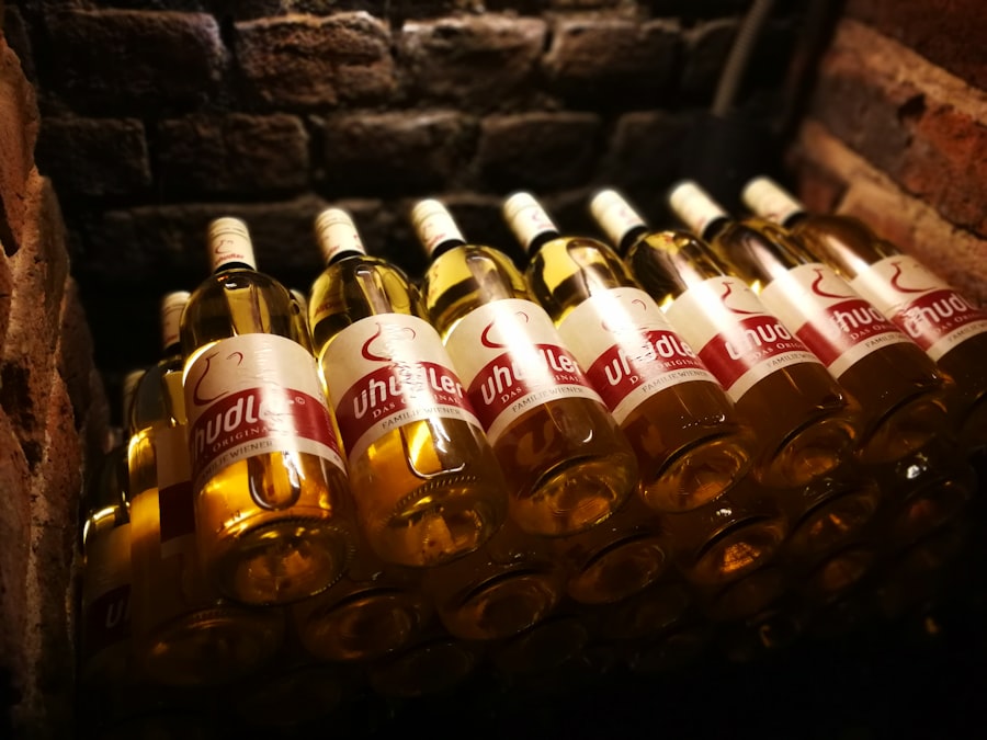 Domy z piwniczką winną: luksusowe miejsce na ziemi 3 Photo